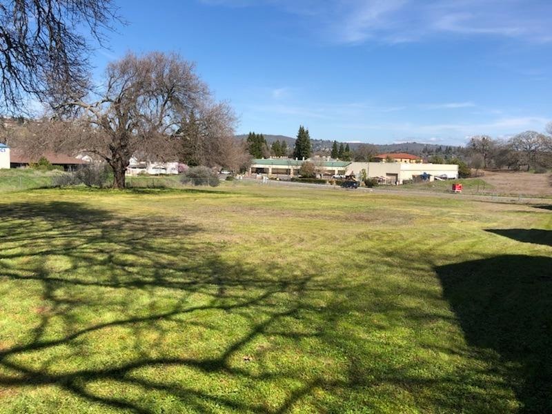 Back of lot looking toward Greenwood Lane