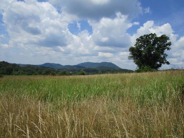 5929 Rutledge Pike, Rutledge, TN 37861 - photo 1