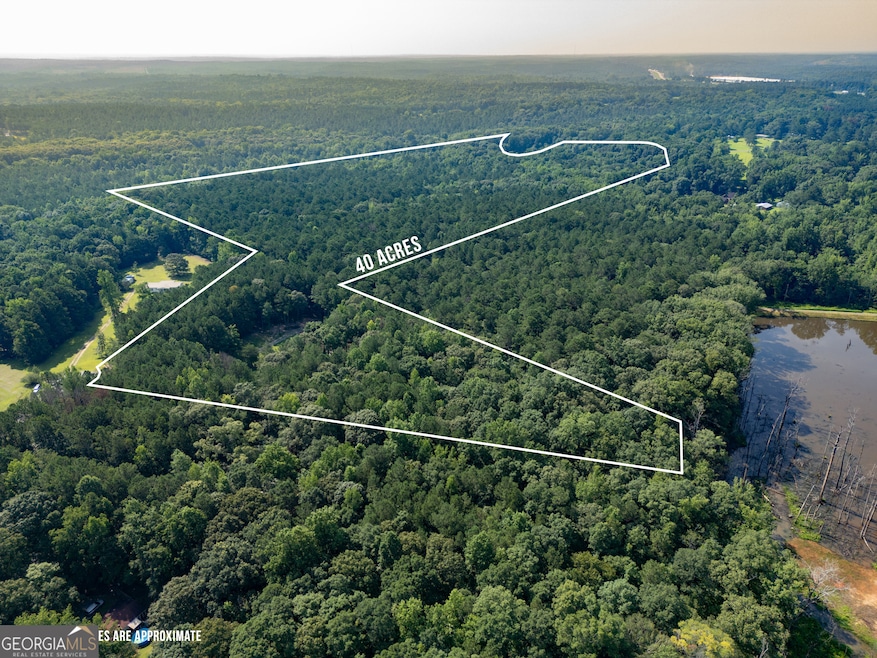 905 Natures Trail, Forsyth, GA 31029 - photo 1