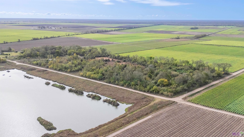 TBD La 1011, Napoleonville, LA 70390 - photo 1