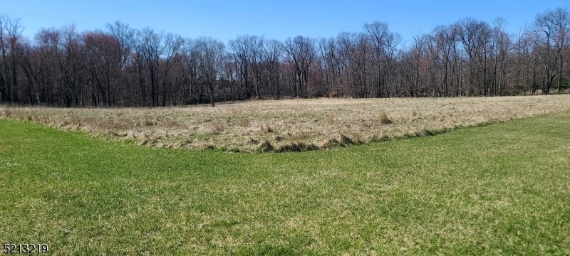 18 Wychwood Way, Warren, NJ 07059 - photo 1