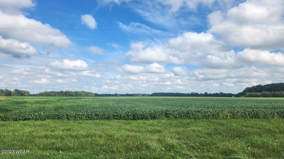 00 Auglaize St, Buckland, OH 45819 - photo 1