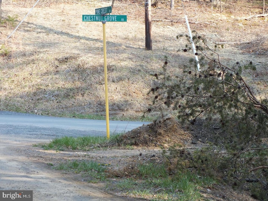 Lot 15 Pine Crest Ln, Gainesboro, VA 22603 - photo 1