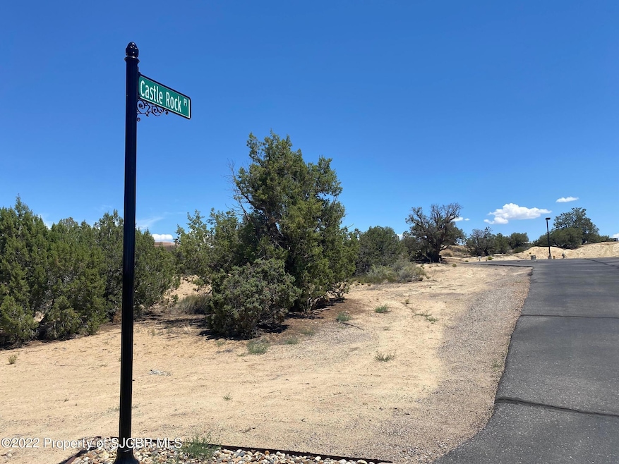 6408 Castle Place, Farmington, NM 87402 - photo 1