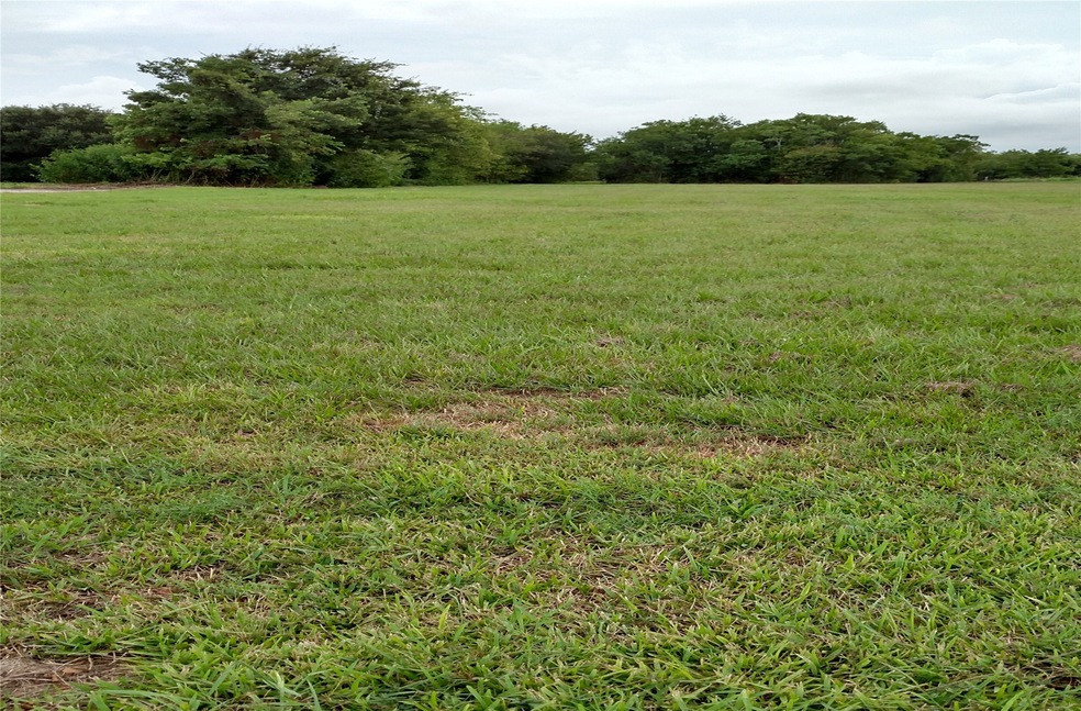 0 County Road 158 Mustang Rd, Alvin, TX 77511 - photo 1