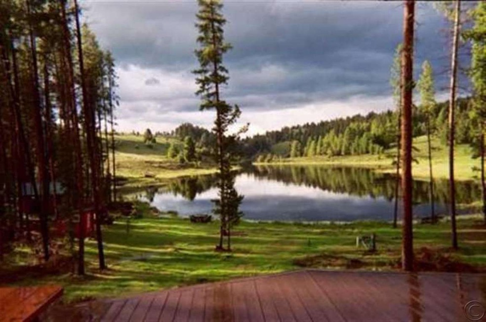 Primary Photo