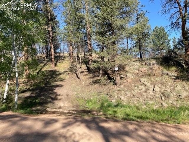 Sold  • Co-Listing Agent