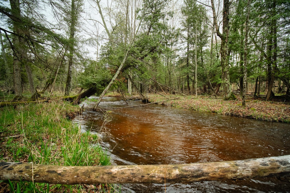 Kaleva Creek