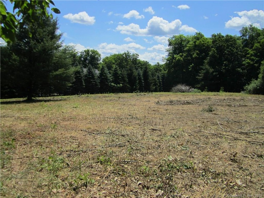 20 Mike Rd, Litchfield, CT 06759 - photo 1