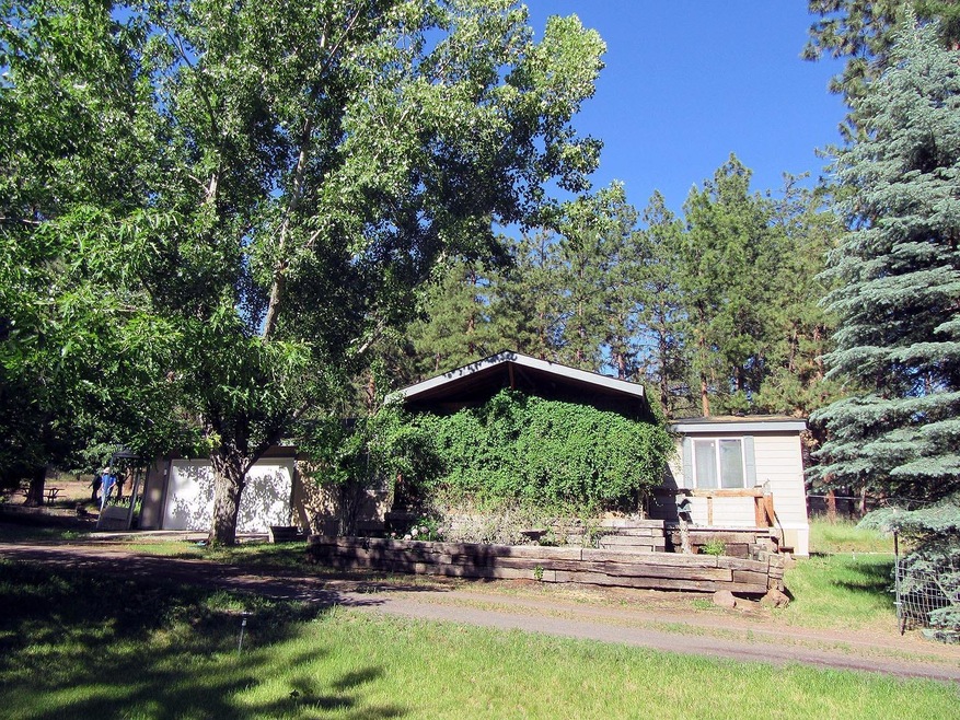 Primary Photo