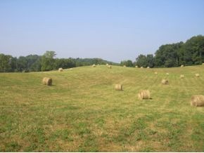 Lot 2 Jack Kyker Rd, Fall Branch, TN 37656 - photo 1