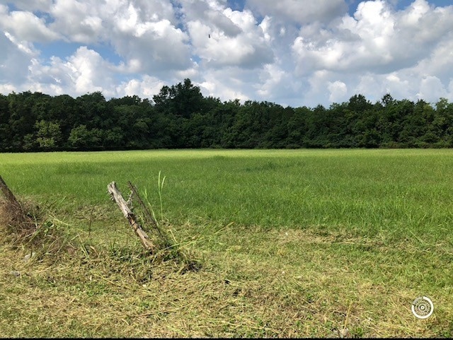 110 Morningside Dr, Mt. Juliet, TN 37122 - photo 1