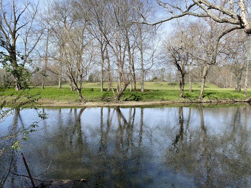 Absolutely beautiful view!! This is the view of the river and the property across the river standing on your property!! This would be yours!! 