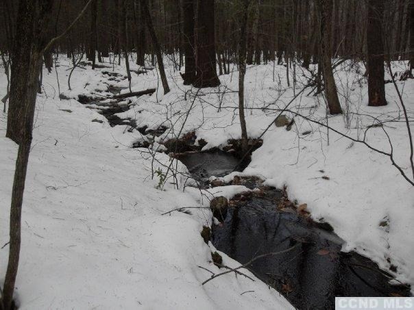 3 Hawthorne Hill Rd, New Lebanon, NY 12125 - photo 1