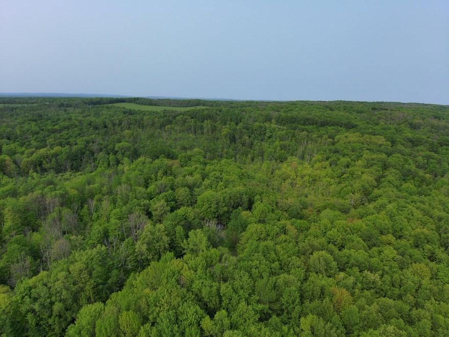 0 Lynch Rd unit 24758516, Newport, NY 13416 - photo 1