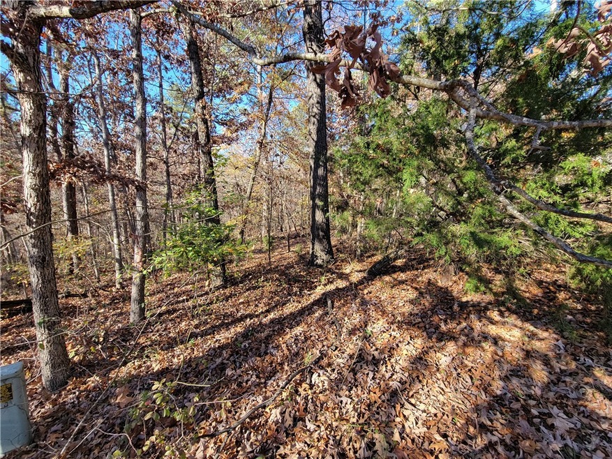 0 Hadnet Ln, Bella Vista, AR 72714 - photo 1