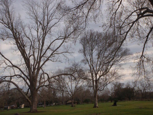 00 County Road 400, Brazoria, TX 77422 - photo 1