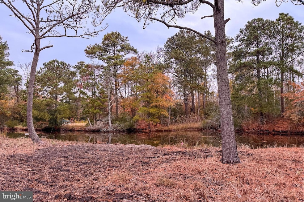 Lot 685 Bradley Ln, Chincoteague, VA 23336 - photo 1