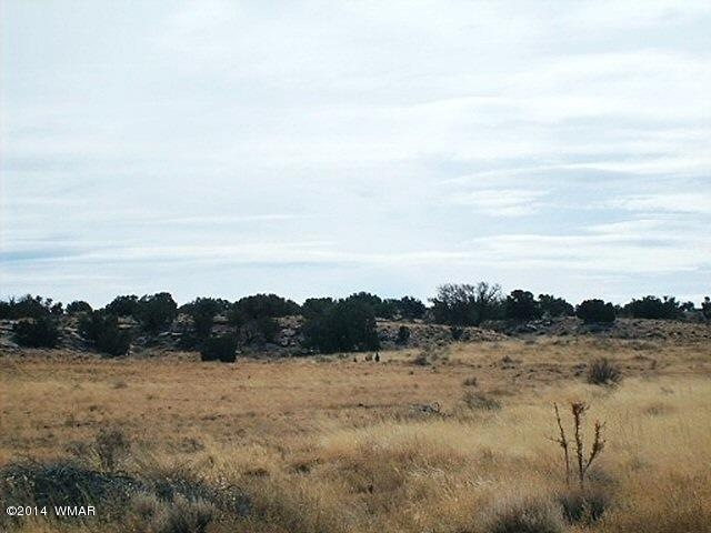 FL000003_2