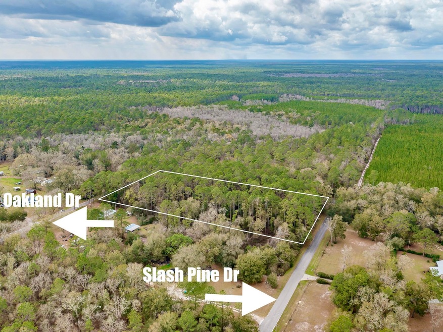 XXXX Slash Pine Dr Oakland Dr, Crawfordville, FL 32327 - photo 1