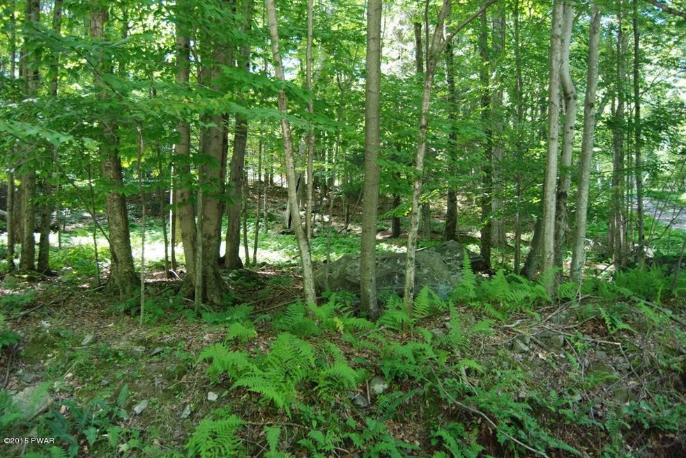 4 Sundew Rd, Roaring Brook Township, PA 18436 - photo 1