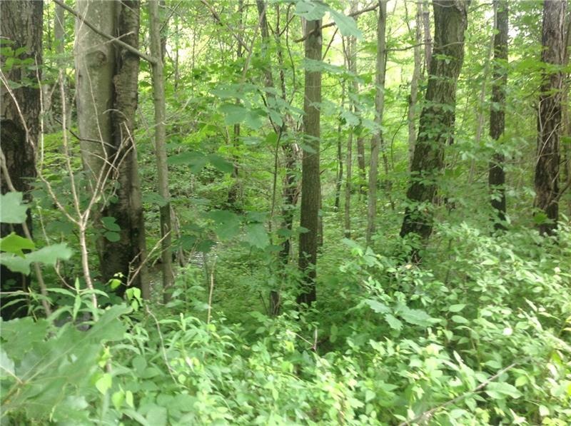 40 Acres mostly wooded, Two Lick Creek