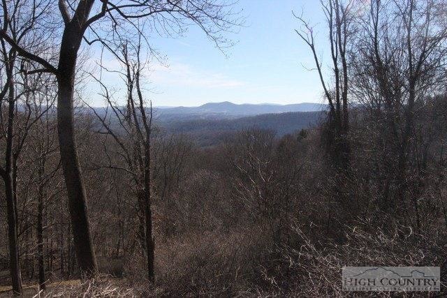 Lot 117 Point Lookout Ln, Independence, VA 24348 - photo 1