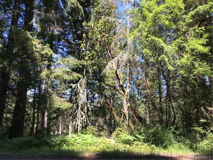 11507 Breaker Way, Anderson Island, WA 98303 - photo 1