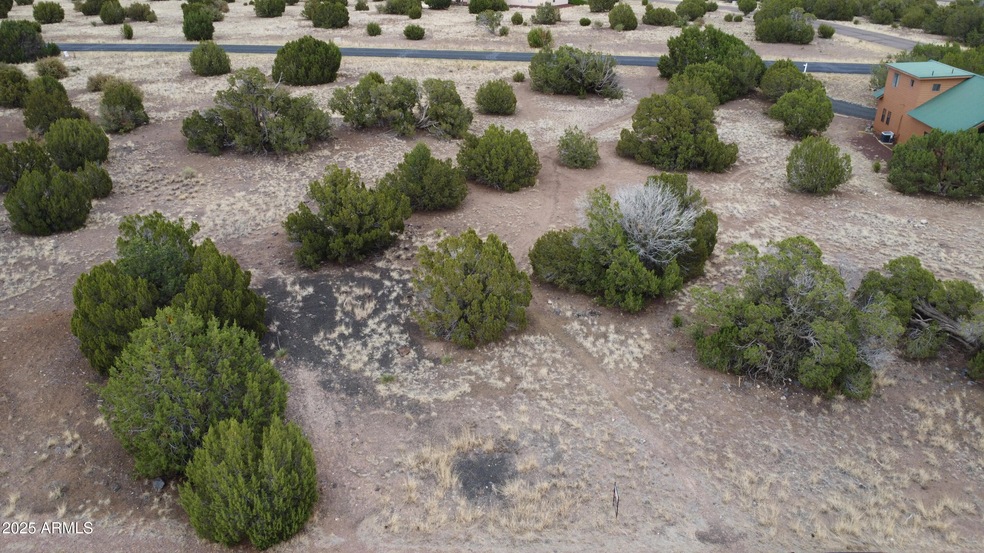 1927 Creekside Cir unit 92, Show Low, AZ 85901 - photo 1