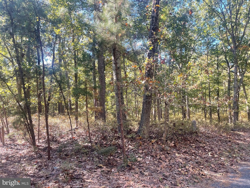 0 4th Ave, Hamilton, NJ 08330 - photo 1