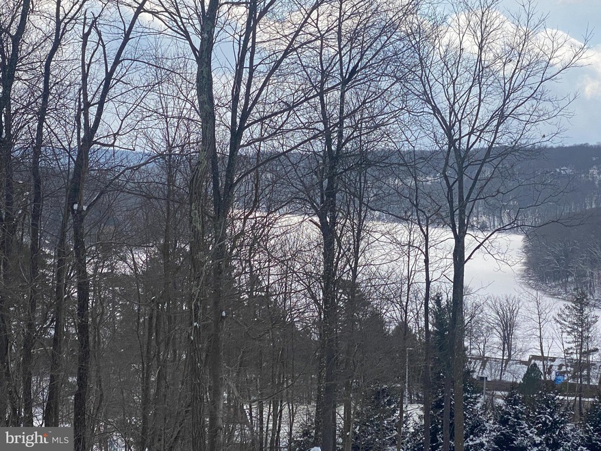 0 Cherry Heights Ln unit MDGA2002236, Mc Henry, MD 21541 - photo 1
