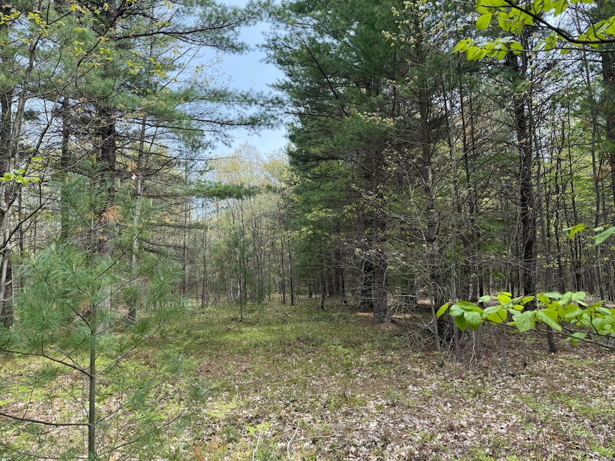 0 Critter Trail unit Parcel C, Filer Charter Township, MI 49660 - photo 1