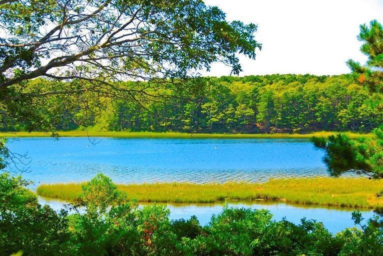 9 Bournes Pond Rd, East Falmouth, MA 02536 - photo 1
