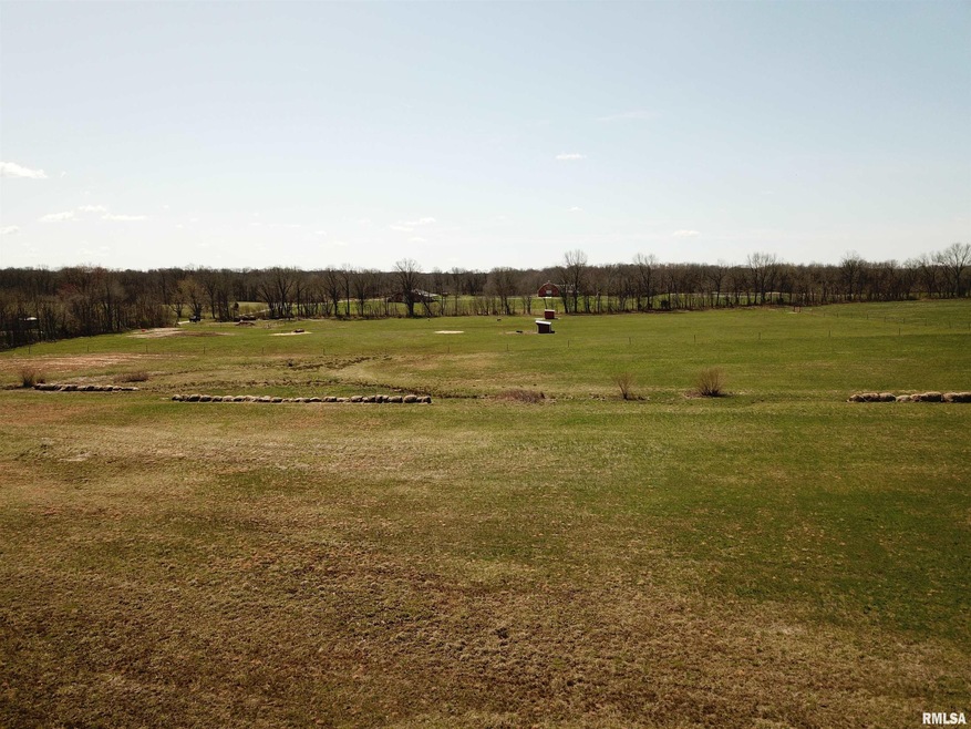 00 Buchanan Rd, Iuka, IL 62849 - photo 1