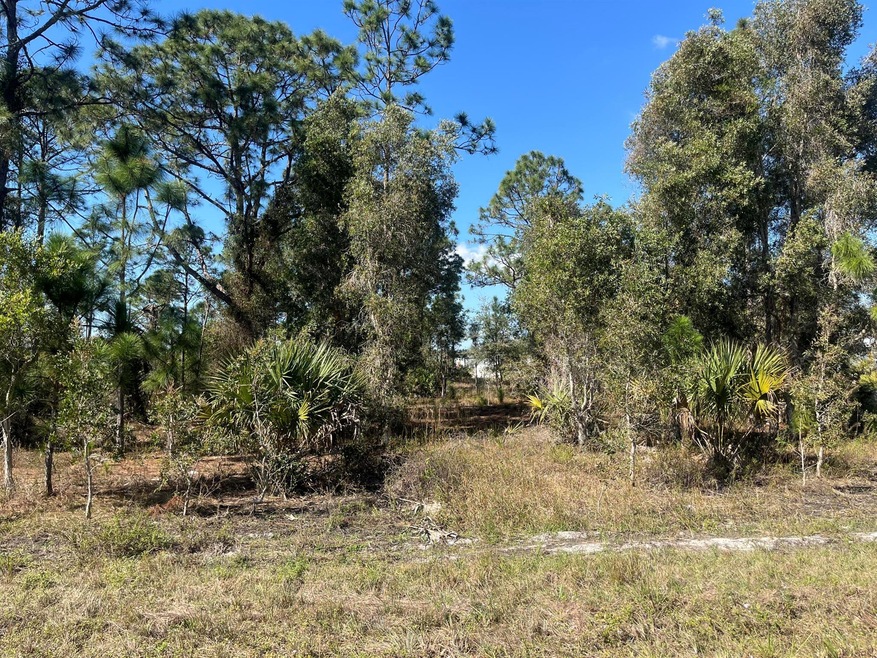 1258 Bowles Ave, Lehigh Acres, FL 33913 - photo 1