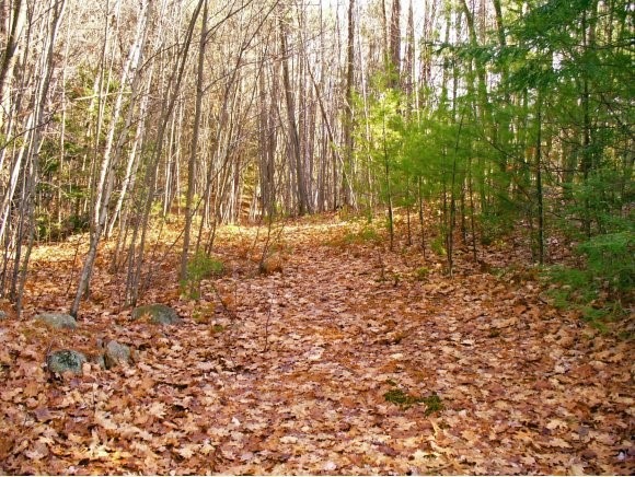 0 Burt Hill Rd unit 2809241, Winchester, NH 03470 - photo 1