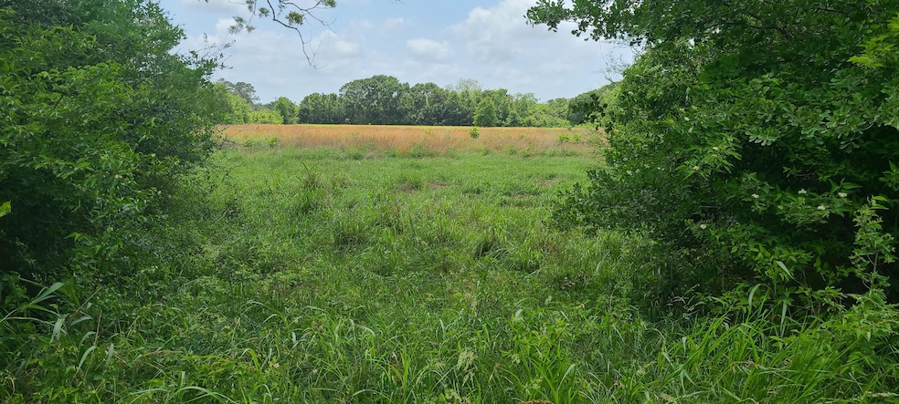 00 Fm 1459, Sweeny, TX 77480 - photo 1