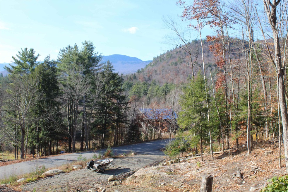 Lot View