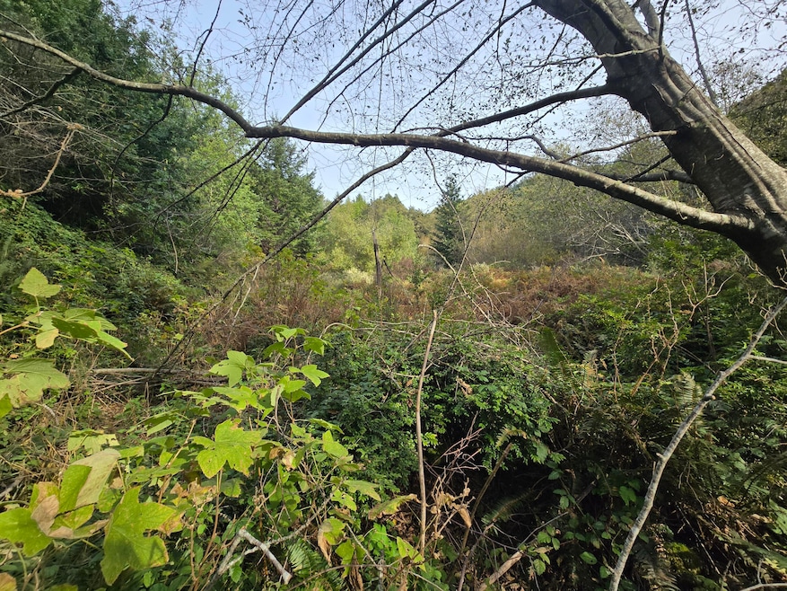 00 & 000 Wolverine Way, Whitethorn, CA 95589 - photo 1