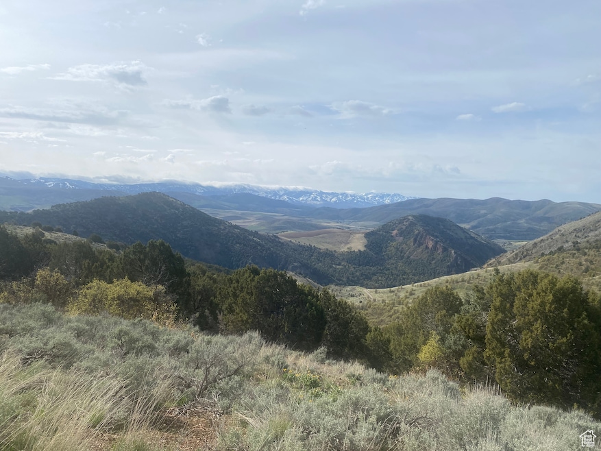 7 Bear River unit 7, Preston, ID 83263 - photo 1