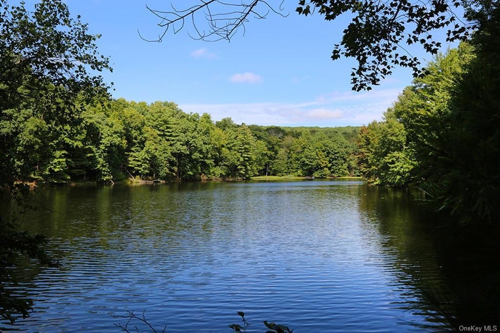 231 Franke Rd, Huguenot, NY 12746 - photo 1