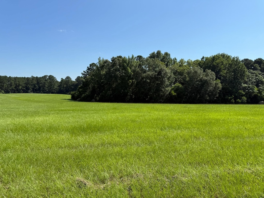 County Road 11, Ariton, AL 36311 - photo 1