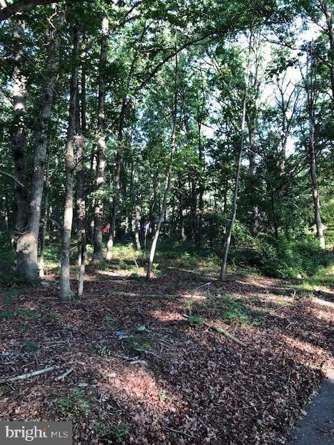 0 New York Ave, Newfield, NJ 08344 - photo 1