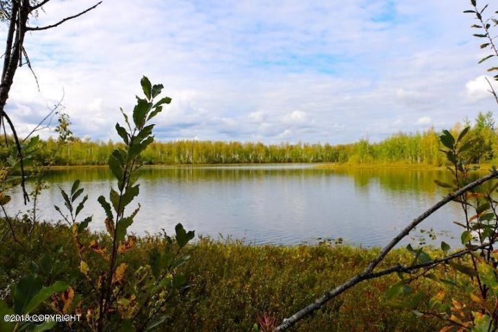 13923 Big Lake Rd, Wasilla, AK 99652 - photo 1