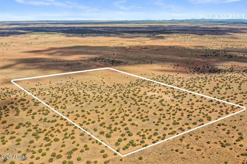 8804 Johnson Hill Trail, Snowflake, AZ 85937 - photo 1