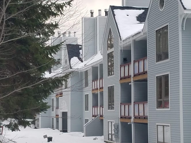 5 Northbrook Village Rd unit A15, Dover, VT 05356 - photo 1