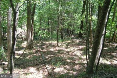 0 Swover Creek Rd unit VASH116948, Edinburg, VA 22824 - photo 1