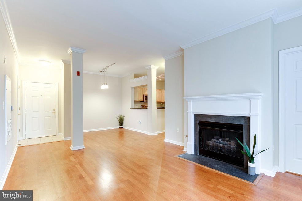 4551 Strutfield Ln unit 4313, Alexandria, VA 22311 - photo 1