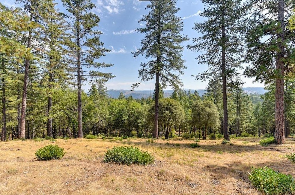 view of tree filled area and the crystal range view