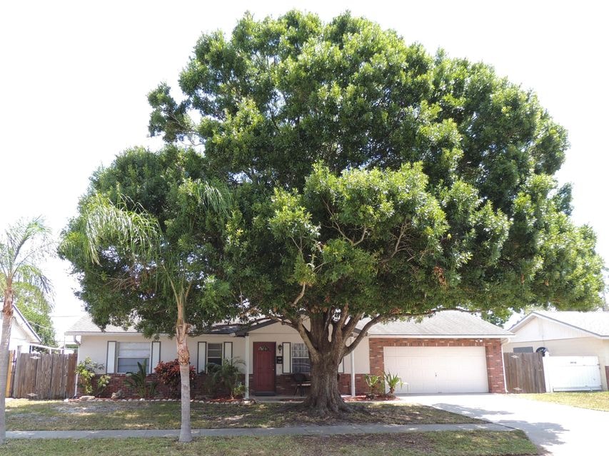Awesome Tree and Home